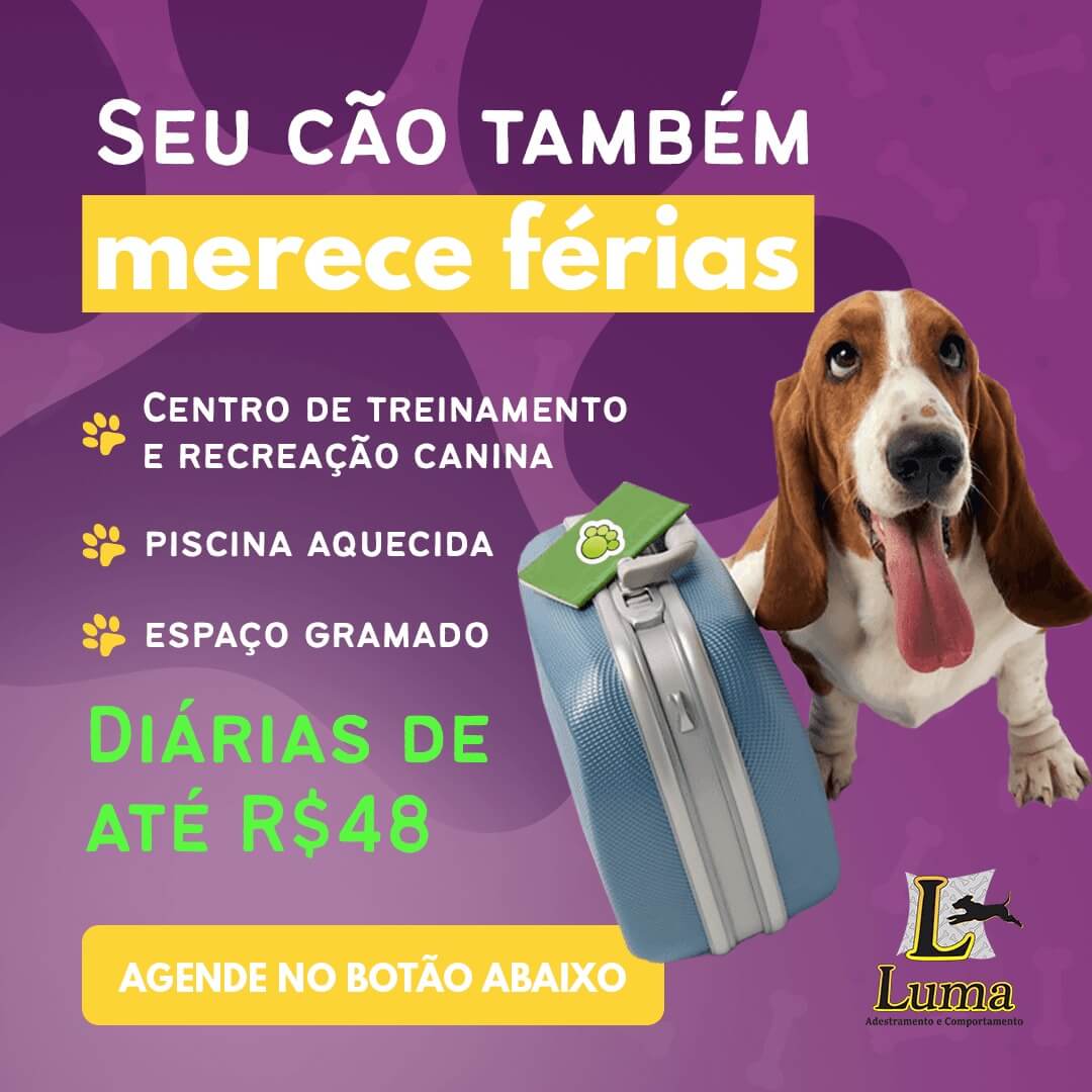 WhatsApp Image 2022-05-31 at 00.47.50